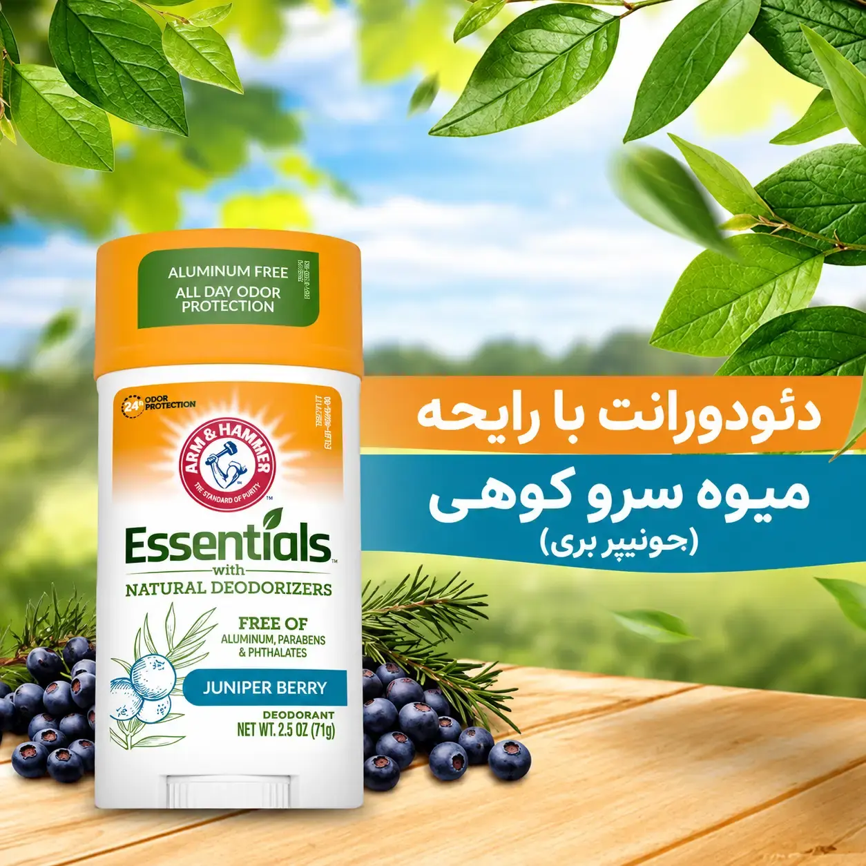 دئودورانت استیکی آرم اند همر مدل Essentials Juniper Berry در نمای روبه‌رو روی میز چوبی، با برگ‌های سبز و بلوبری در پس‌زمینه